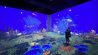 Dinos Alive | Exhibition Hub | Digital experiences