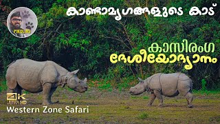 Kaziranga National Park | The home of Rhino in Assam