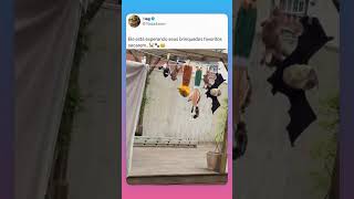 🔥😱🤯O MC MN  a MC Katrina formam uma das duplas mais populares divertidas momento no ￼TikTok.!?