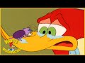 Woody Woodpecker Show | Brother Cockroach | Full Episode | Videos For Kids