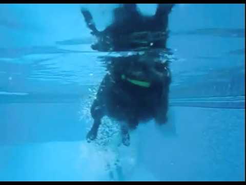Ivy Jane Swims - Underwater Angle!