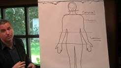 Levels of Spinal Cord Injury Explained by Spinal Cord Injury Lawyer Eric Ratinoff