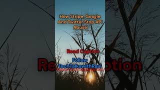 How Stripe, Google And Twitter Stop API Abuse? #api #systemdesign #backenddevelopment