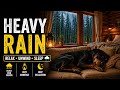 Heavy Rain Sounds 🌧️ Cozy Cabin Sleep with Dog