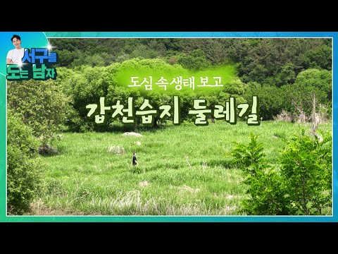 서도남 ep16. 갑천습지 둘레길, 황톳길