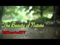 Natures beauty v1