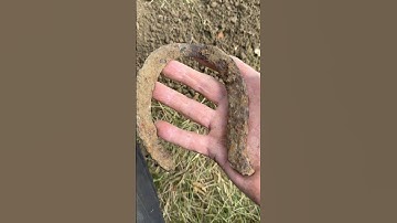 Good Luck Relic #short #manticore #relic #metaldetecting #metaldetector