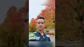 Mùa Thu Seattle Autumn