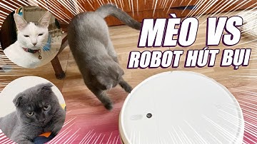 CUP PHẢN ỨNG THẾ NÀO KHI LẦN ĐẦU THẤY ROBOT HÚT BỤI??🤣🤣🤣 - CUP THE CAT