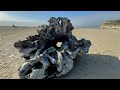 Hidden Gem: San Gregorio State Beach | California's Most Scenic Hidden Coast / Sony ZV-1 II