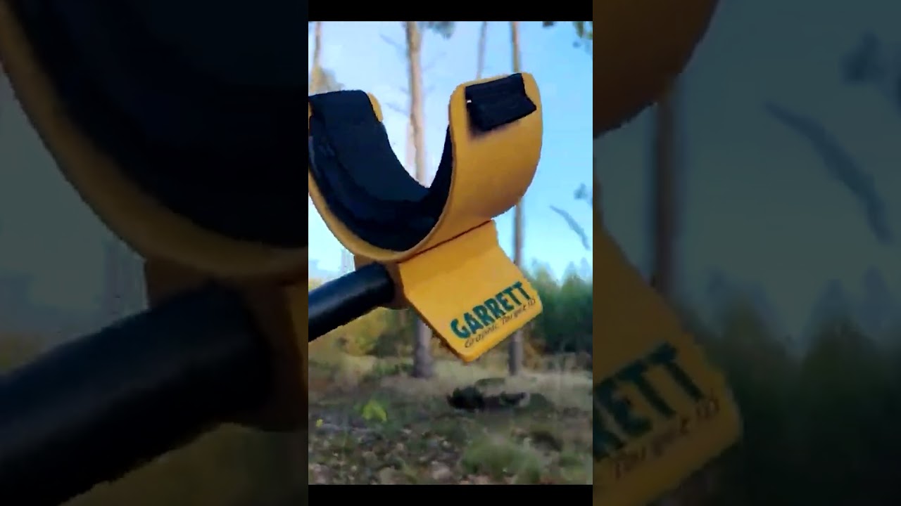 Forest day 1   #garrett