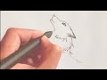 رسم ذئب سهل خطوة بخطوة تعليم الرسم رسومات سهلة 