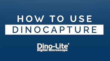 How to use DinoCapture 2.0 for Dino-Lite on Windows