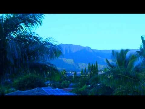 Hawaii Five-0 CBS World Premiere Pacific Ocean Sur...