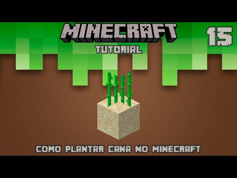 como plantar cana minecraft