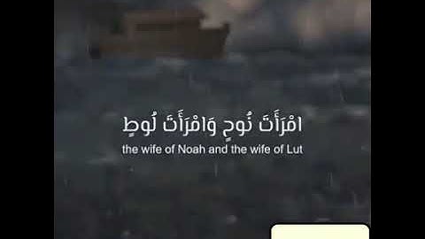 ضرب الله مثلا للذين كفروا/#سورة #التحريم/#اسلام #صبحي