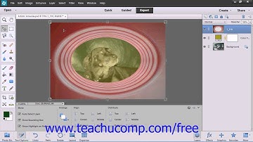 Photoshop Elements 12 Tutorial Moving Layer Content with the Move Tool Adobe Training Lesson 10.5