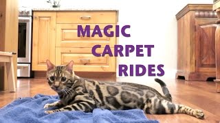 Magic Carpet Rides