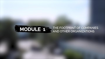 Module 1 Video 2 - The Footprint of Companies and Other Organizations