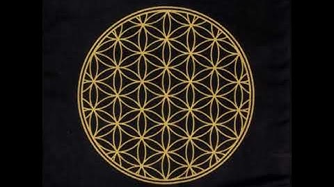 Trellix Data Loss Prevention 11.10.x Product Guide - Overview