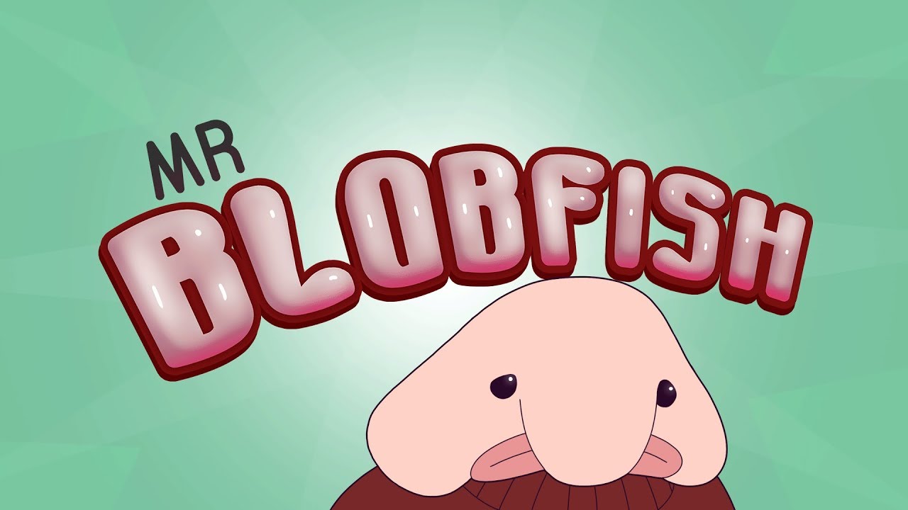 Trouble At The Park | MR BLOBFISH!