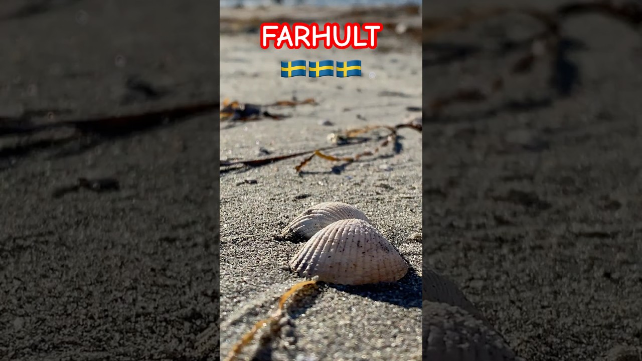 PLAYA 🏖 Farhult 🇸🇪🇸🇪🇸🇪