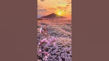 في هذا الفيديو الرائع، ستتعرف على سورة روم من القرآن الكريم وستغوص في عمق معانيها السامية. سورة روم