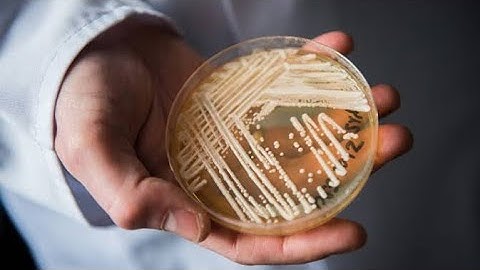 CDC warns of drug-resistant fungal infection 2023