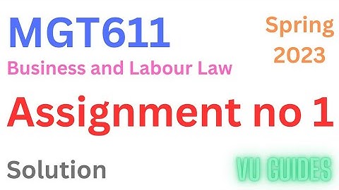 MGT611 Assignment 1 Solution Spring2023 / MGT611 Assignment Solution 2023 #mgt611 #assignment #vu