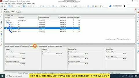 How to Create New Currency & Input Original Budget in Primavera P6 ?