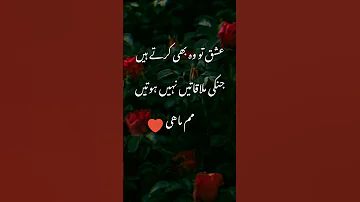 Love Story urdu quotes| Islamic Alam Official| #shorts #islam #islamicstatus #whatsappstatus #urdu