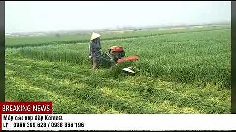 Máy cắt cỏ voi Kamast . lh 0966399628