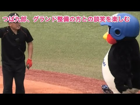 つば九郎、グランド整備の方との談笑を楽しむ