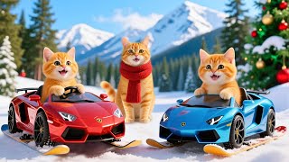 Mama Cat Trims Fur on the Farm and Makes Tiger Hat For Kittens At Home🐾🎩🐯