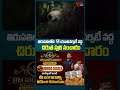 చిరుతపులి సంచారం | Leopard Roaming Near SV University in Tirupati #shorts #ytshorts #tonenews