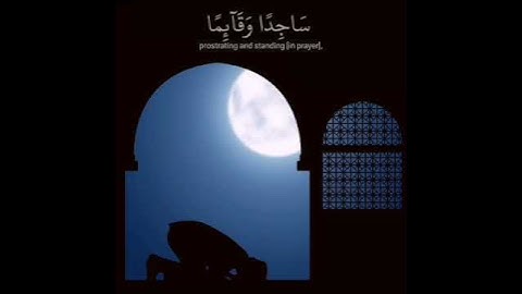 أمن هو قانت آنــــاء الليــــــل  -  تلاوة رائعة للقارئ #هيثم_الدخين #القران