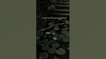 المنشاوي | ربما يود الذين كفروا لو كانوا مسلمين #سورة_الحجر #تلاوات #قرآن #إلغاء_متابعة_المشاهير