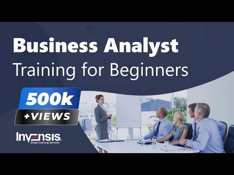 business analyst