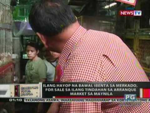 Video: Mga tindahan at merkado sa Cairo