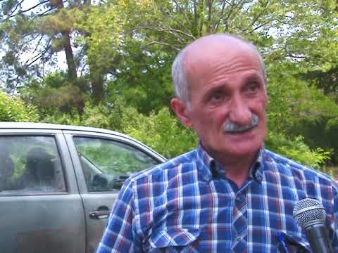 ფოთში ხვალ 21 00 სთ ფაროსანას თერმული ნისლით შეწამლა იწყება 10 06 19