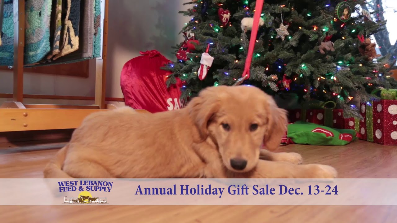 West Lebanon Feed and Supply Holiday 2019 YouTube