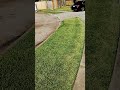 Fresh Cut Grass #trending #vlog #shorts #youtubeshorts #viralshort #ishowspeed #blogger #outdoors