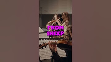 🎻 The Secret of Violin Strings: Sheep Intestines and Metal
