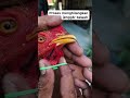 The process of removing the lower jaw #jaws #ytshorts #chicken #shortsfeed #aseelbirds #roosterfarm