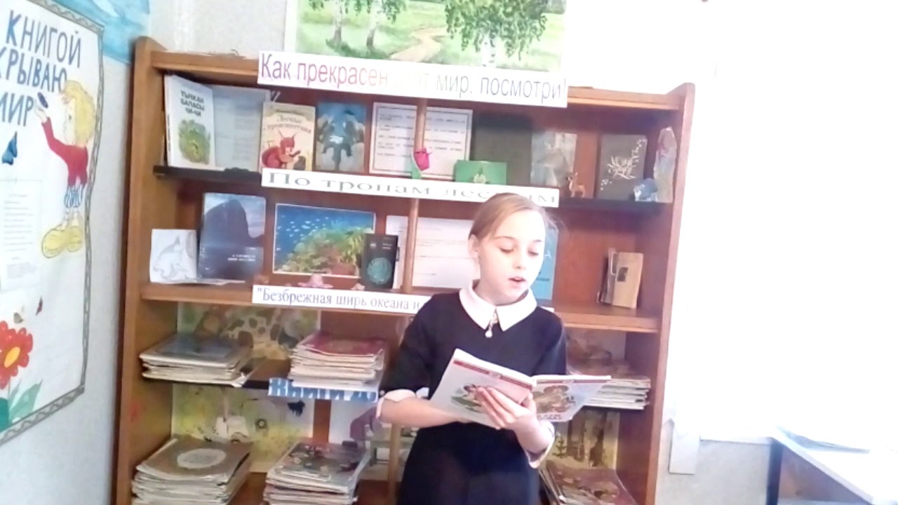 Лесное эхо ютуб канал
