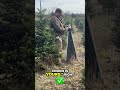 Marketing Trees: A Daughter's Class Project #shorts