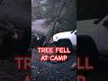 A Tree Fell at My Camp During the Storm… Overland Camping Adventure