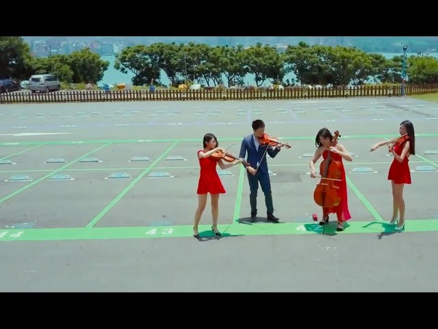 彼得品客樂團 -  彼得品客樂團 -