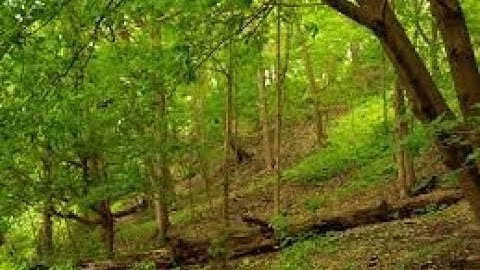 EX # 7.3 Eigen Values & Vectors (Differential Equation) in Urdu | PART 3