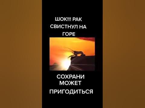 шок!!! - YouTube